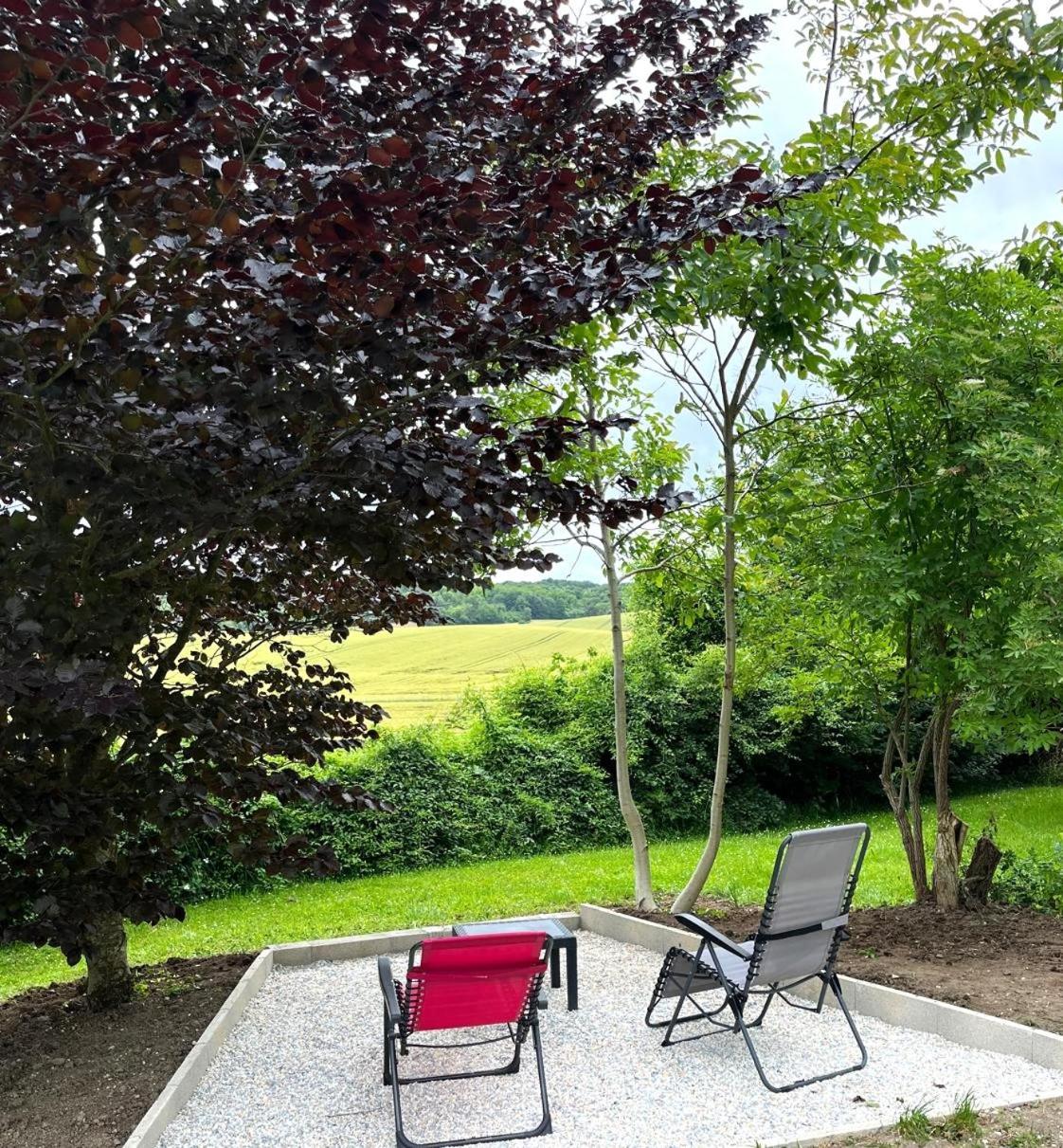 La Demeure D'Othe Bed & Breakfast Sormery Bagian luar foto