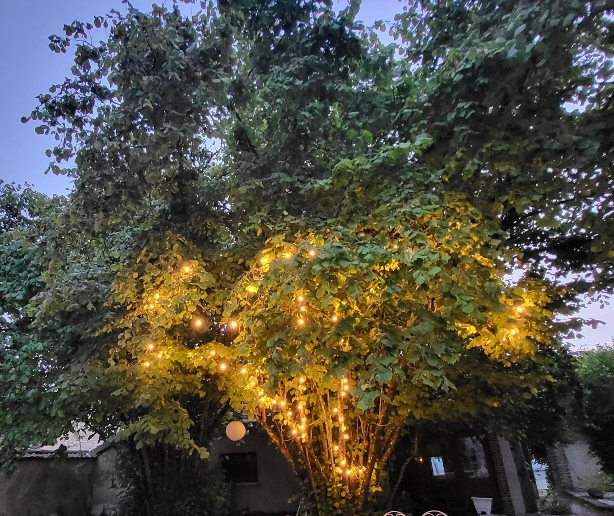 La Demeure D'Othe Bed & Breakfast Sormery Bagian luar foto