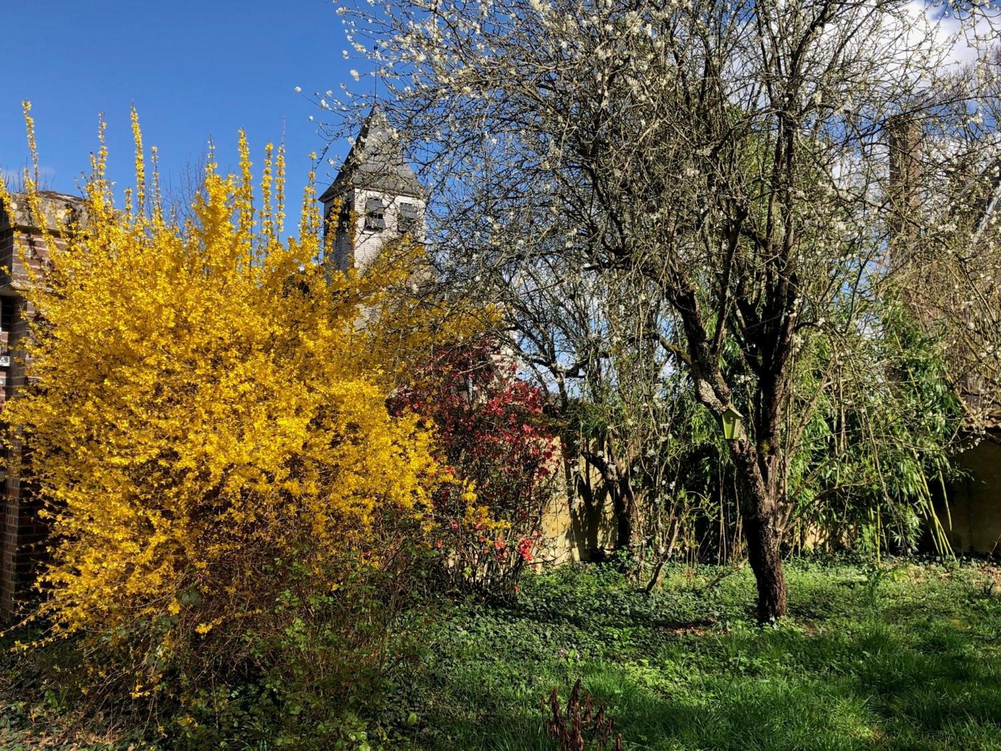 La Demeure D'Othe Bed & Breakfast Sormery Bagian luar foto